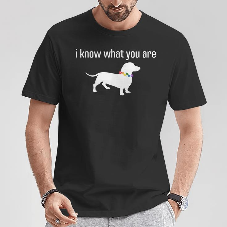 Quote Meme I Know What You Are Homophobic Dog Gay Lgbt T-Shirt Unique Gifts