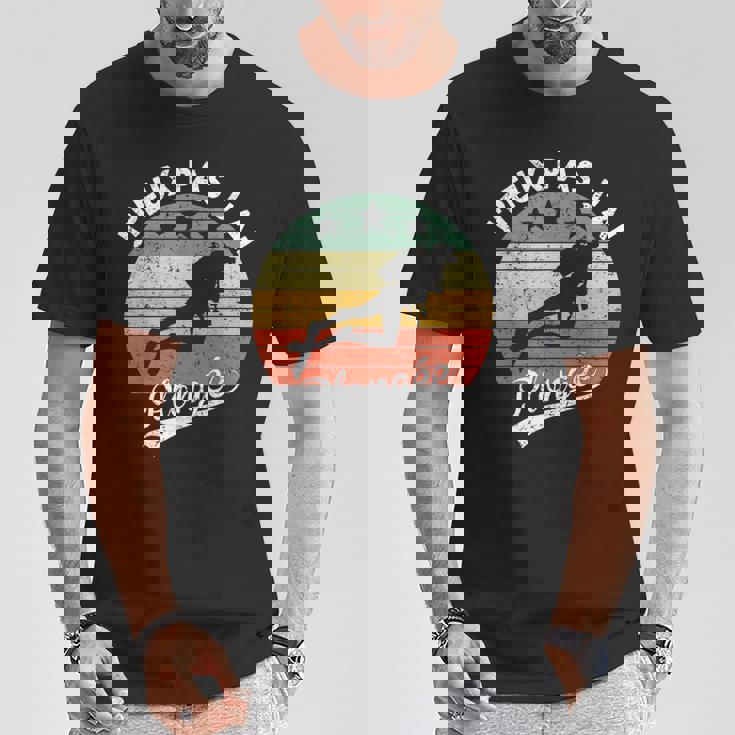 J'peux Pas J'ai Plongée Cadeau Amateurs Plongée Sous Marine T-Shirt Cadeaux drôles