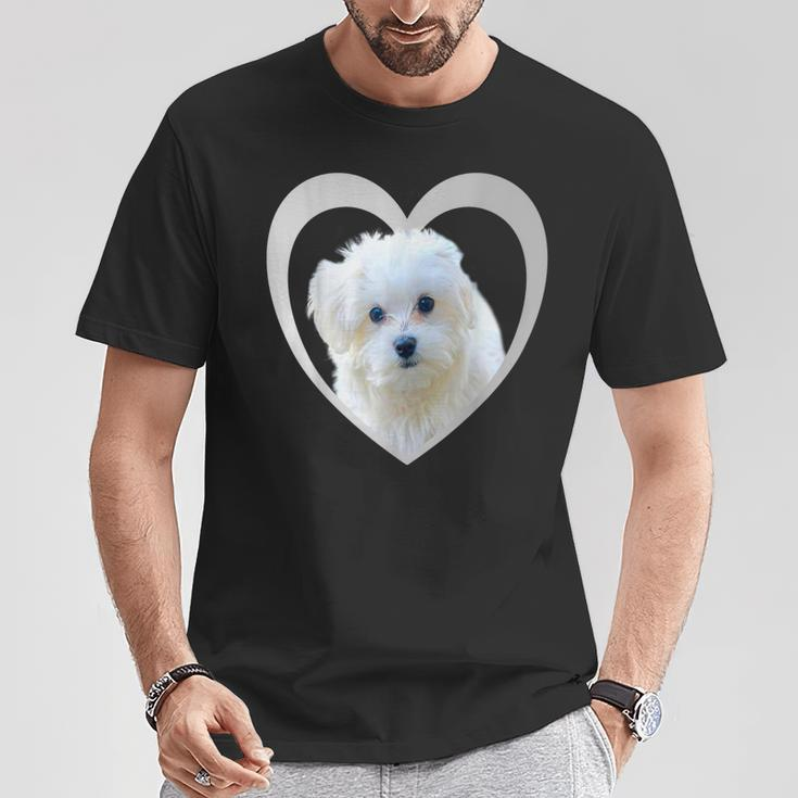 Maltese Maltese Dog Maltese T-Shirt Lustige Geschenke