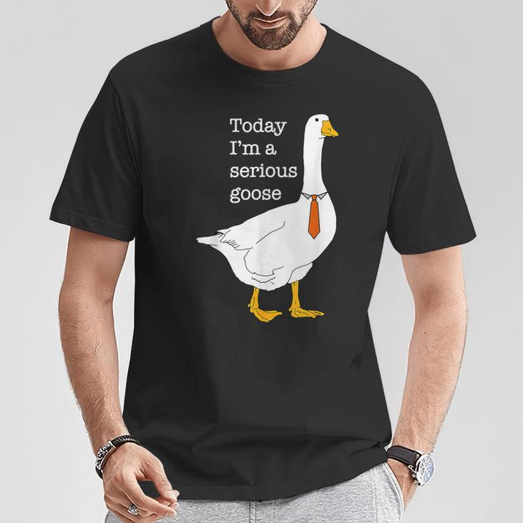 Today I'm A Serious Goose Silly Goose Cute T-Shirt Unique Gifts