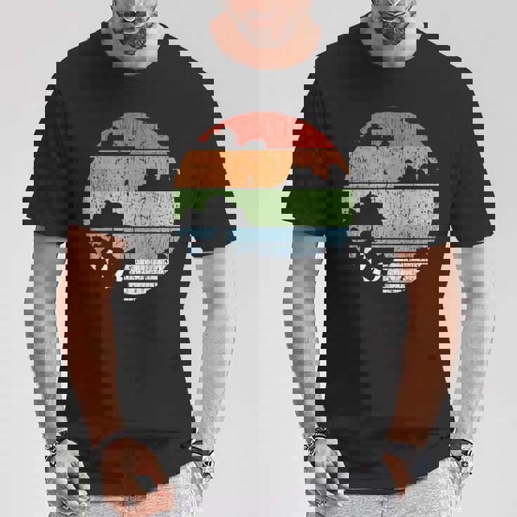 Vintage Cat Retro Cat T-Shirt Lustige Geschenke