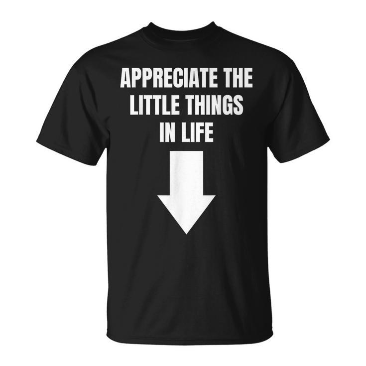 Appreciate The Small Things In Life Arrow Sarcasm Pun T-Shirt