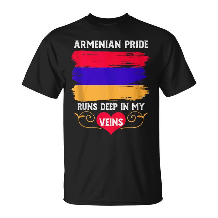 Armenian Pride Runs Deep In My Veins Armenian Roots T-Shirt