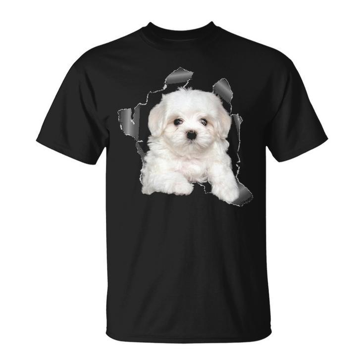Cute Maltese Torn Cloth  Maltese Lover Dog Owner Puppy T-Shirt