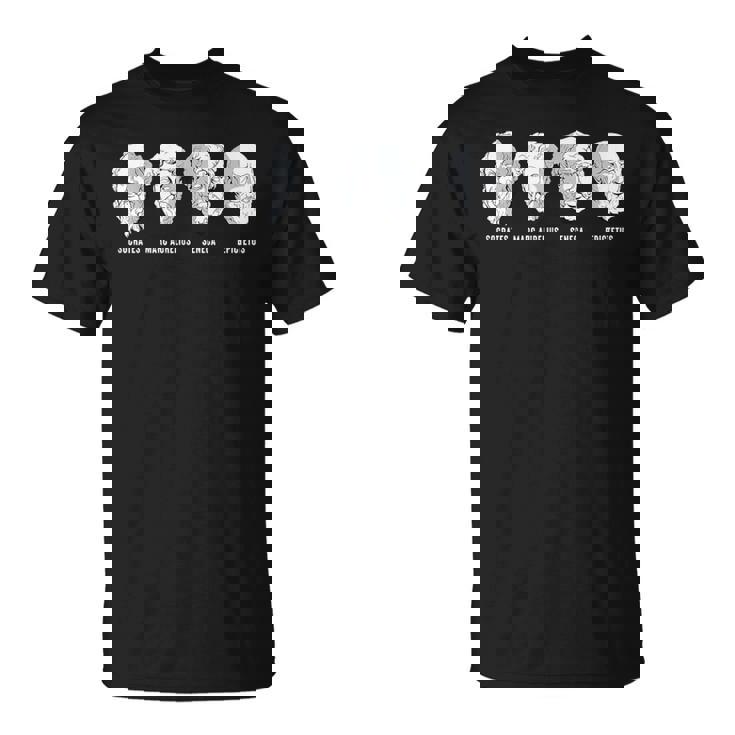 Filósofos Estoicos Aurelio Sócrates Séneca Epictetus Camiseta unisex