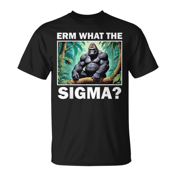 Erm What The Sigma Ironic Meme Brainrot Quote T-Shirt