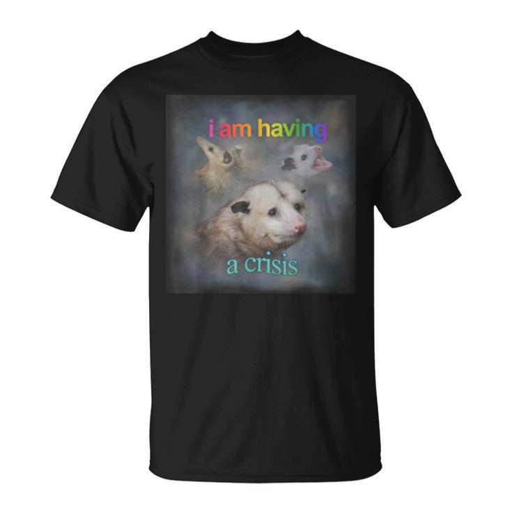 I Am Having A Crisis Possum T-Shirt