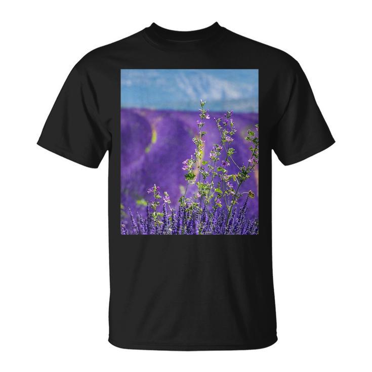 Lavender Purple Flower Field T-Shirt