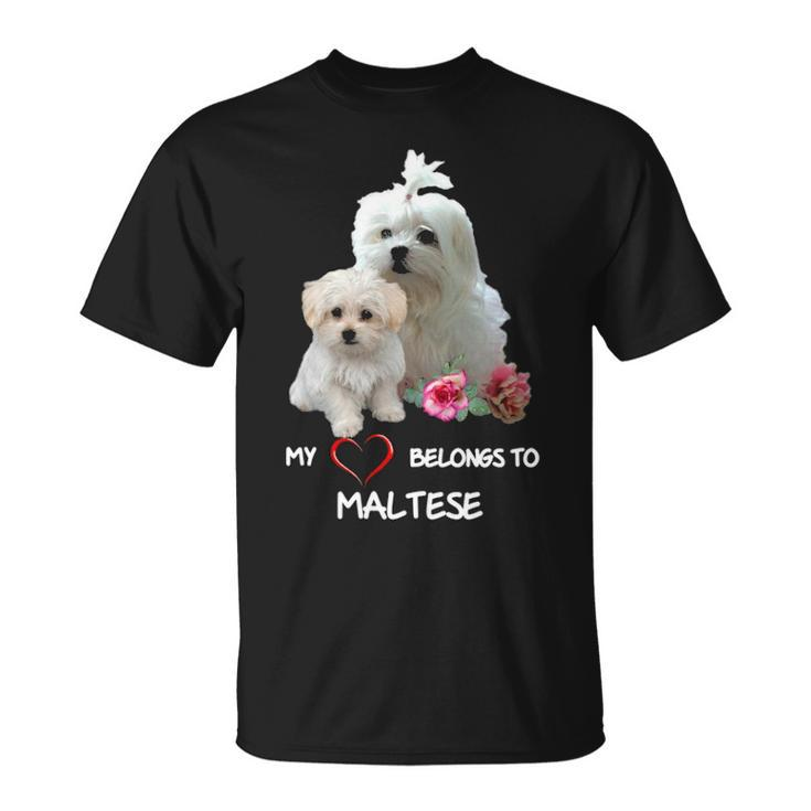 Maltese Dog Heart Belongs Maltese Puppy T-Shirt