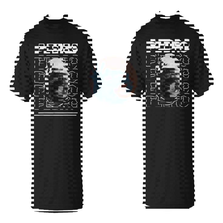 Pedro Raccoon Dancing Meme T-Shirt