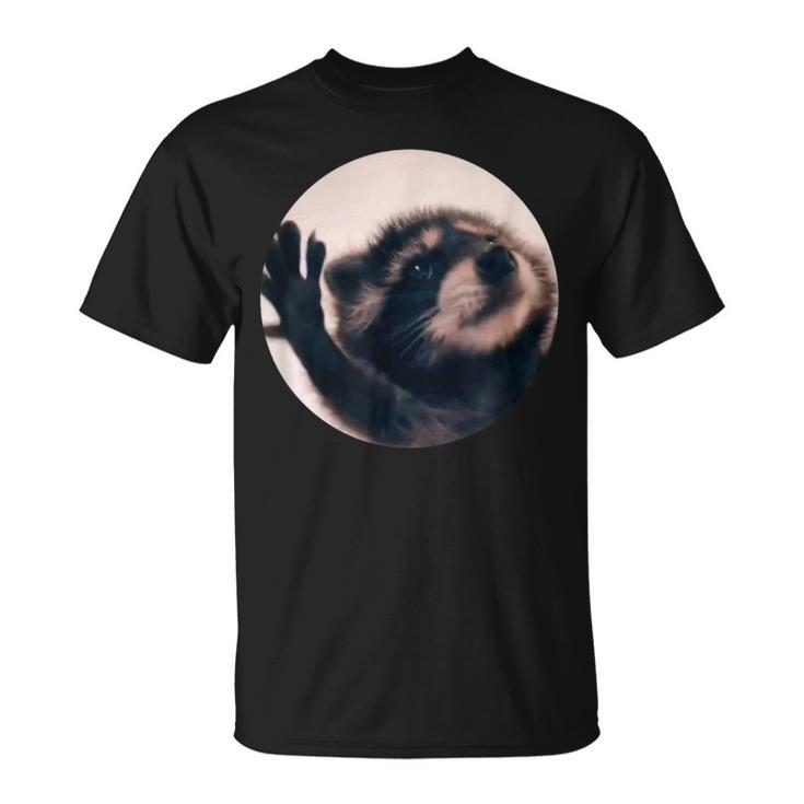 Pedro Racoon Dance Popular Internet Meme Mapache Dance T-Shirt