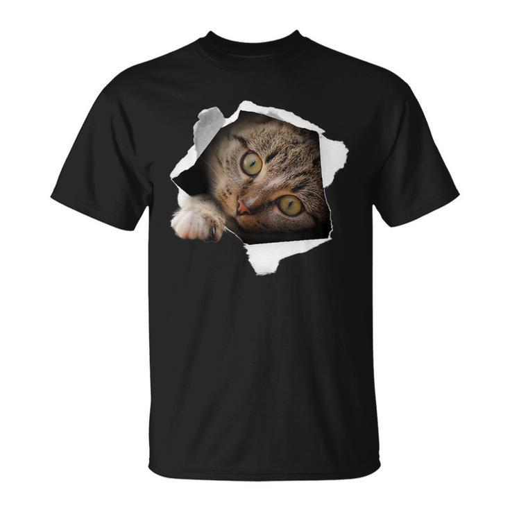 Stunning Tabby Cat Torn Cloth Cat Lovers Kitten T-Shirt
