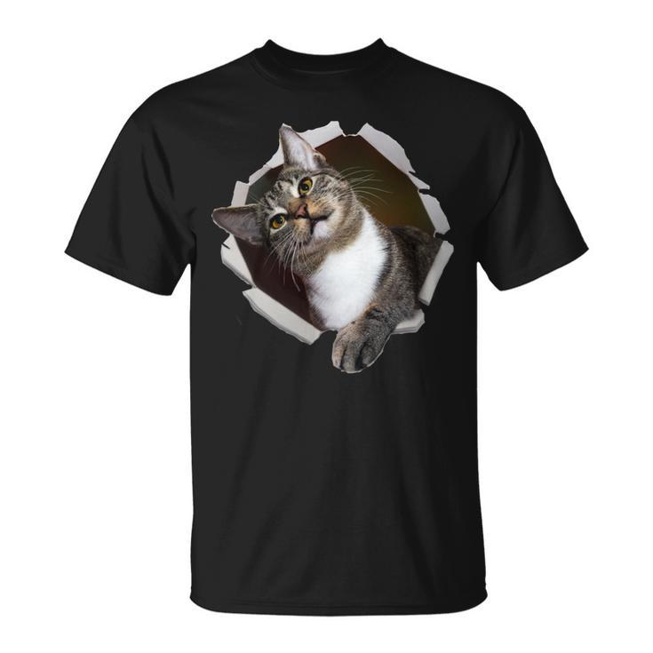 Sweet Kitten Torn Cloth Unique & Cool Cat Lover T-Shirt