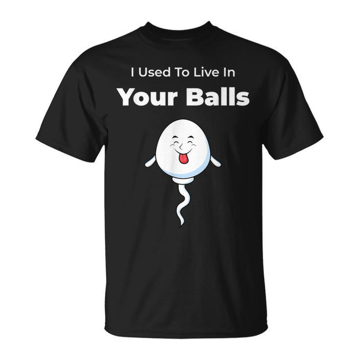 I Used To Live In Your Balls Silly Father's Day T-Shirt