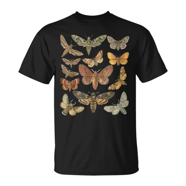 Vintage Moth Cottagecore Aesthetic Goblincore Dark Academia T-Shirt