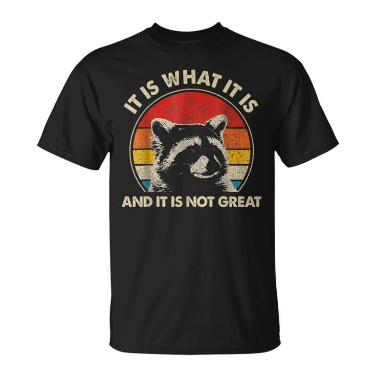 Vintage Racoon It Is What It Is And It Is Not Great T-Shirt