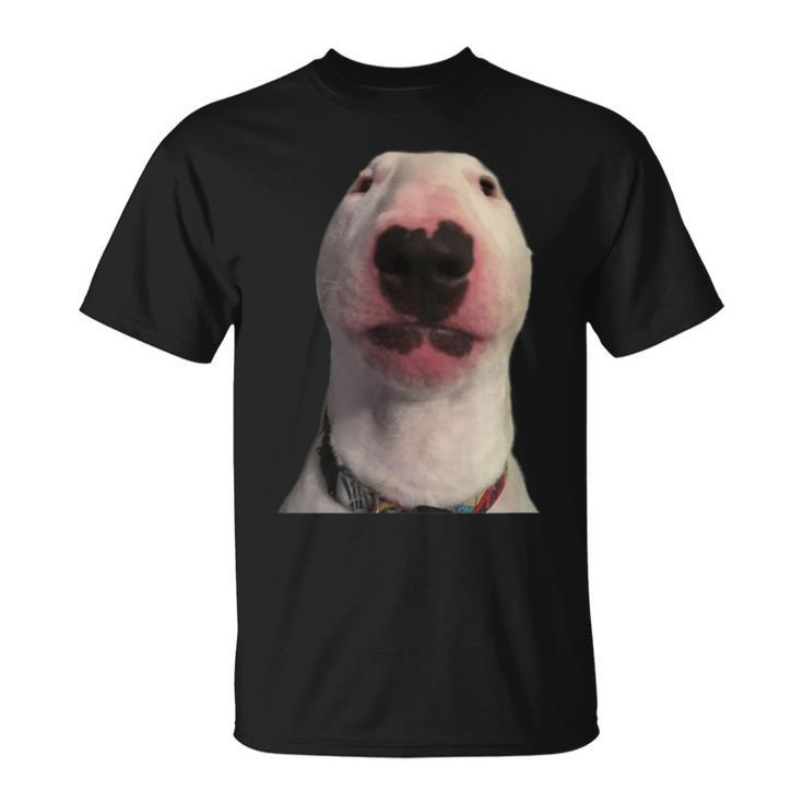 Walter Dog Meme T-Shirt