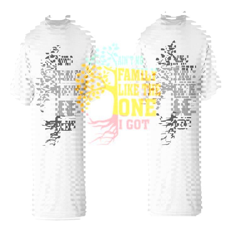 Ain't No Family Like The One I Got Family Reunion 2024 T-Shirt