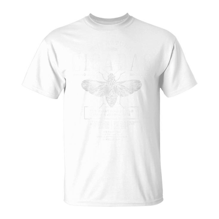 Cicada Summer 2024 Appearance Vintage T-Shirt