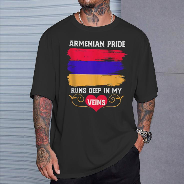 Armenian Pride Runs Deep In My Veins Armenian Roots T-Shirt Gifts for Him