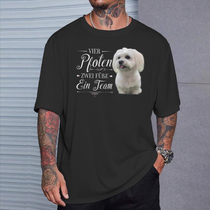 Cute Maltese Dog Graphic T-Shirt Geschenke für Ihn