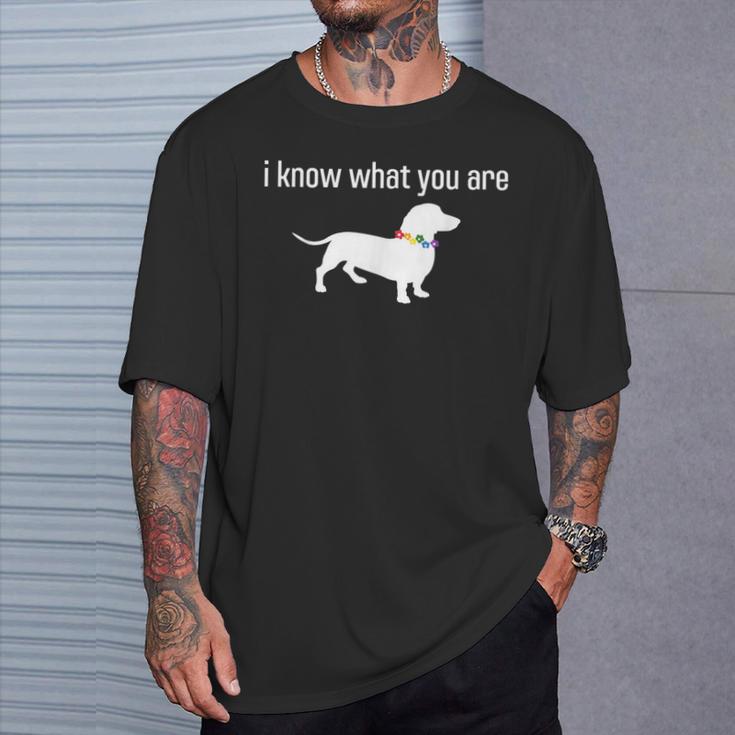 Quote Meme I Know What You Are Homophobic Dog Gay Lgbt T-Shirt Gifts for Him