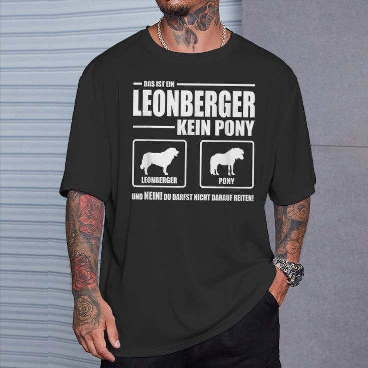 Leonberger Kein Pony Dog Dog Saying Dog T-Shirt Geschenke für Ihn