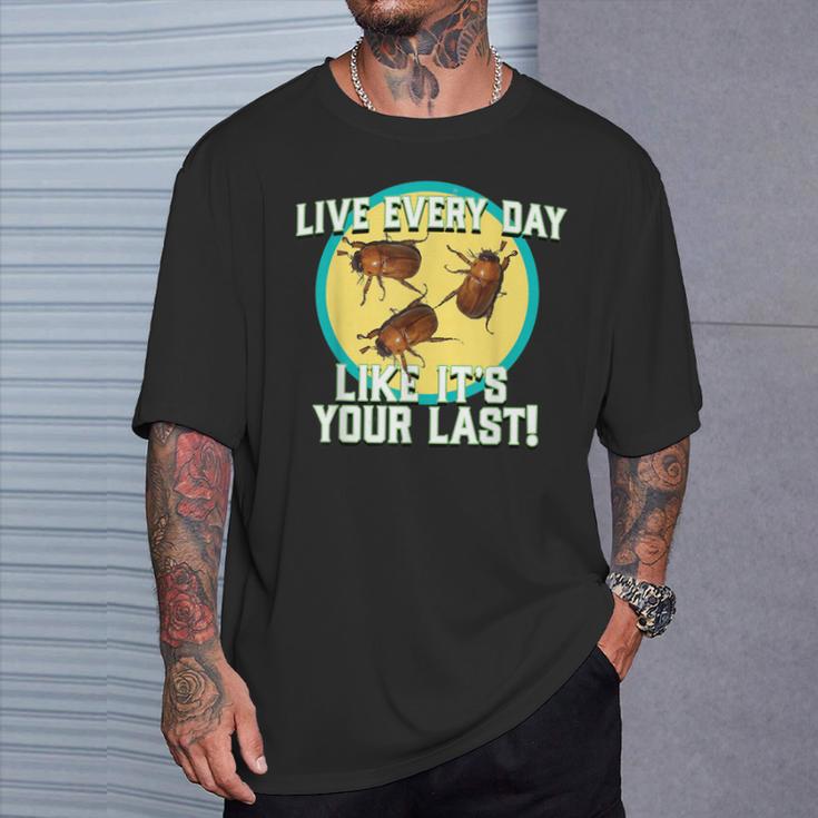 Live Everyday Like It's Your Last Summer June Bug T-Shirt Gifts for Him