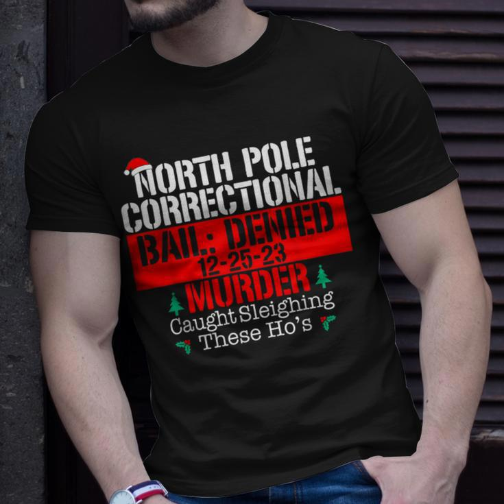 North Pole Correctional Sleighing These Ho's Matching Family T-Shirt Gifts for Him