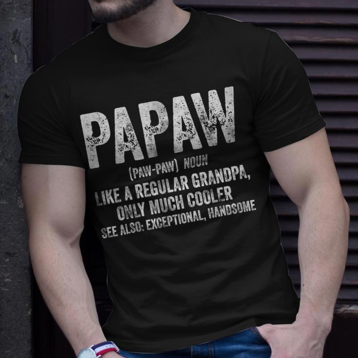Papaw Definition Like A Regular Grandpa Only Cooler T-Shirt Gifts for Him