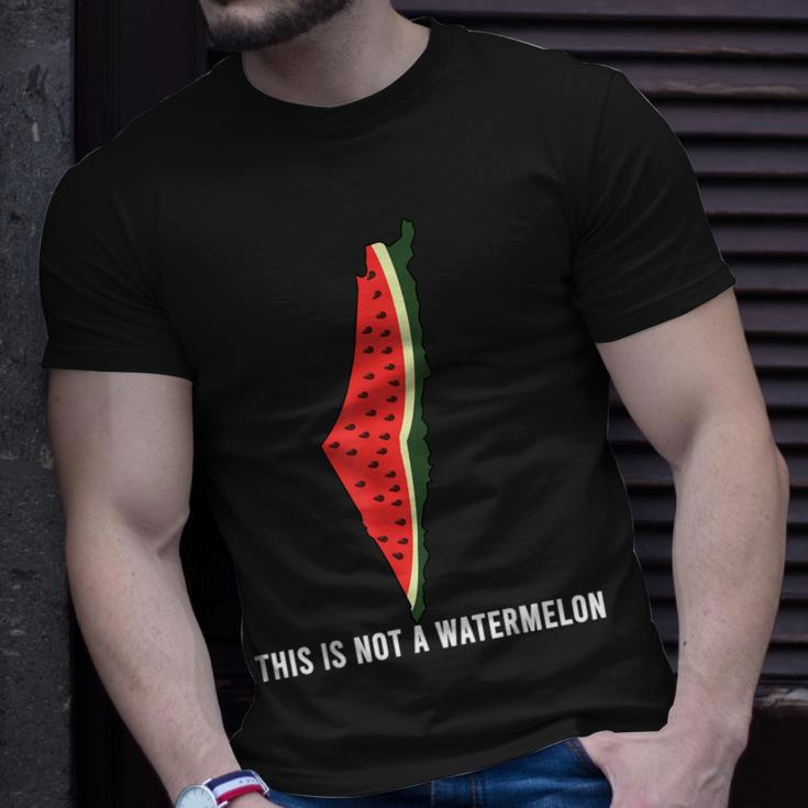 Watermelon 'This Is Not A Watermelon' Palestine Collection T-Shirt Gifts for Him
