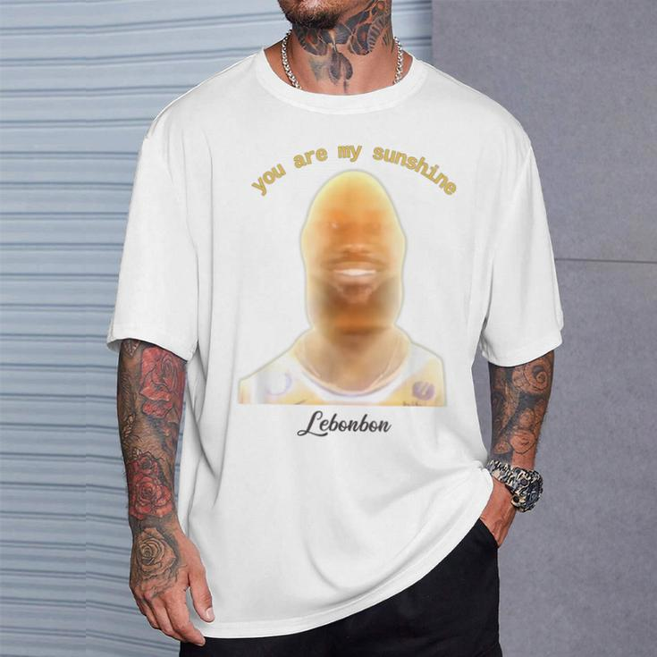 James Meme You Are My Sunshine Joke For And Women T-Shirt Gifts for Him
