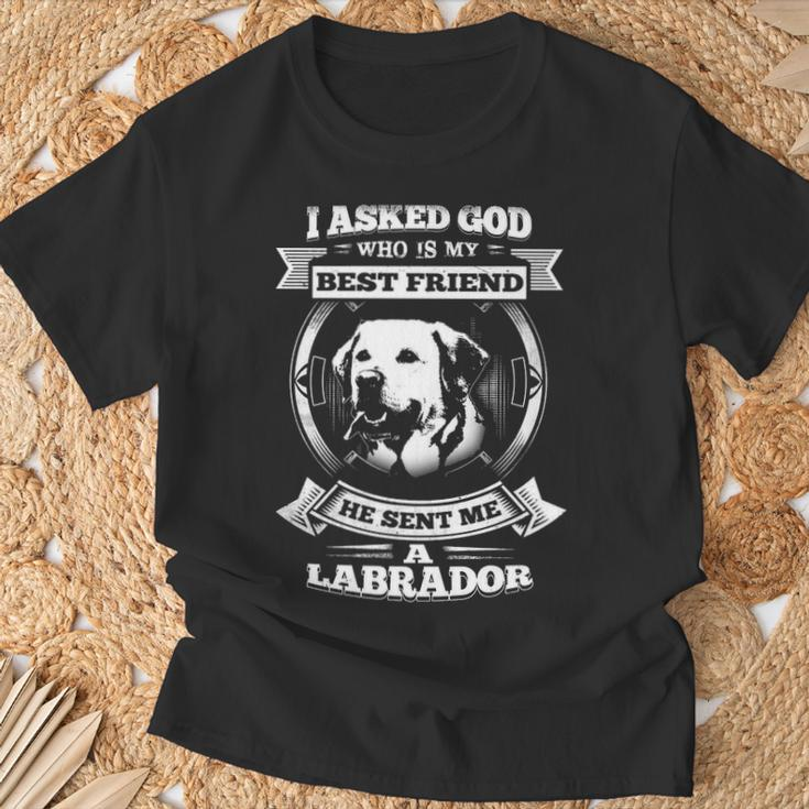I Asked God Who Is My Best Friend He Sent Me A Labrador T-Shirt Gifts for Old Men