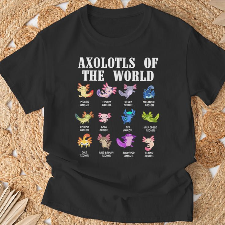 Axolotls Of The World Mexican Salamander Chart Amphibian T-Shirt Gifts for Old Men