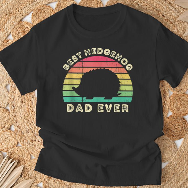 Best Dad Gifts, Best Hedgehog Dad Shirts