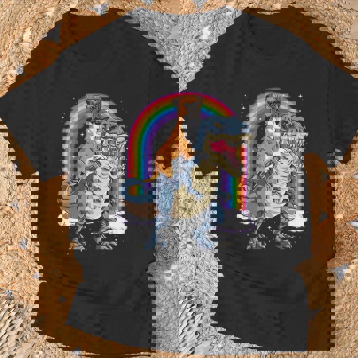 Boxer Riding DinosaurRex Dog Lover Boys Kids Rainbow T-Shirt Gifts for Old Men
