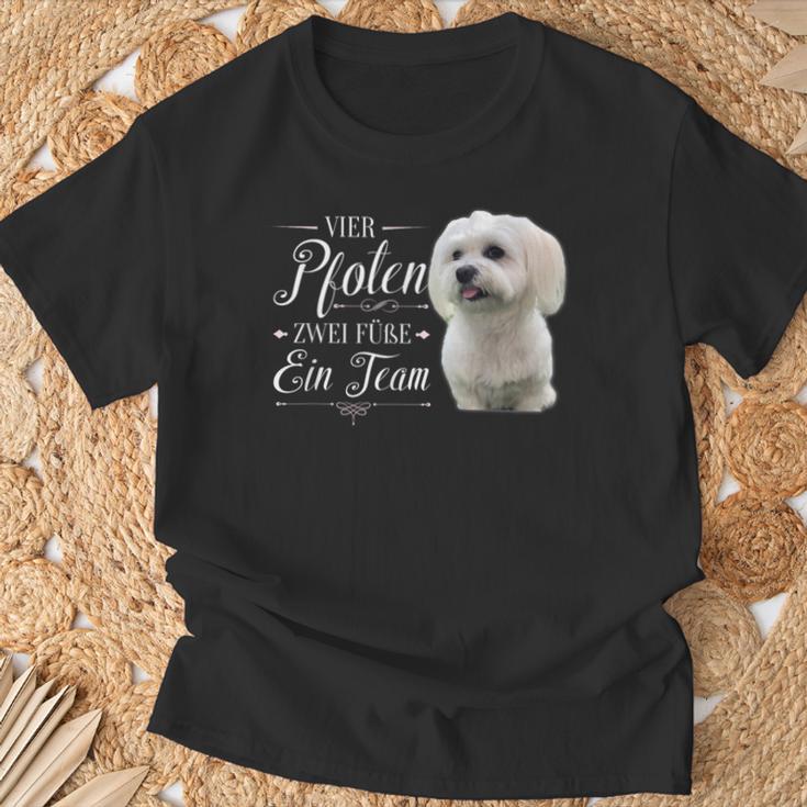 Cute Maltese Dog Graphic T-Shirt Geschenke für alte Männer