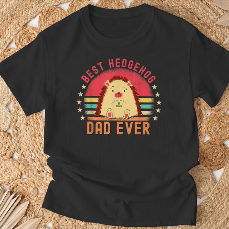 Vintage Gifts, Best Hedgehog Dad Shirts