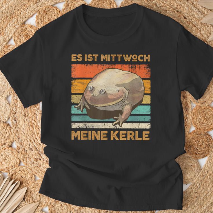 Es Ist Mittwoch Meine Kerle Wednesch Frog Meme T-Shirt Geschenke für alte Männer