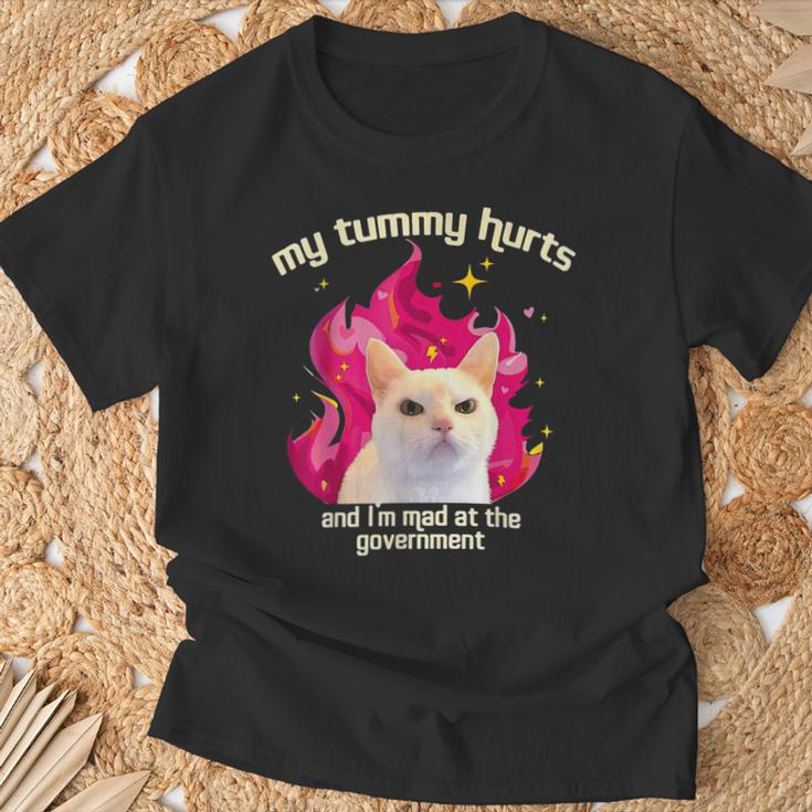 Cat My Tummy Hurts And I’M Mad At The Government T-Shirt Gifts for Old Men