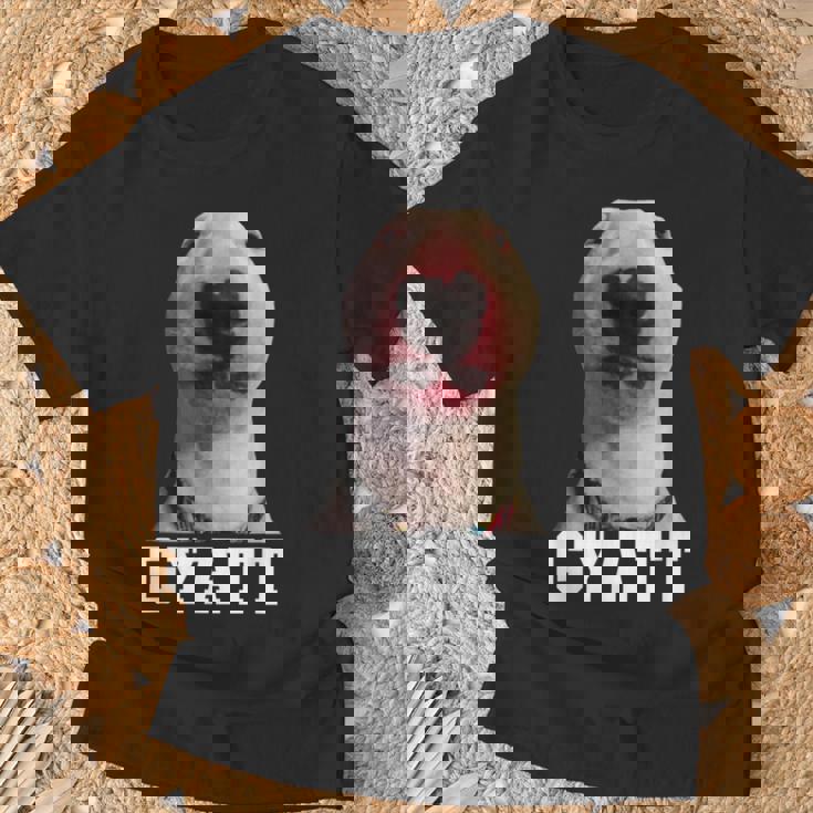 Gyatt Meme Damn Cringe Gyatt T-Shirt Gifts for Old Men