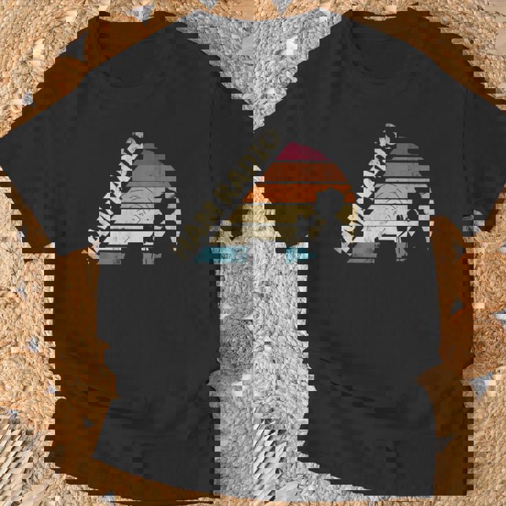 Ham Radio Amateur Radio Operador Silueta Camiseta unisex Regalos para ancianos