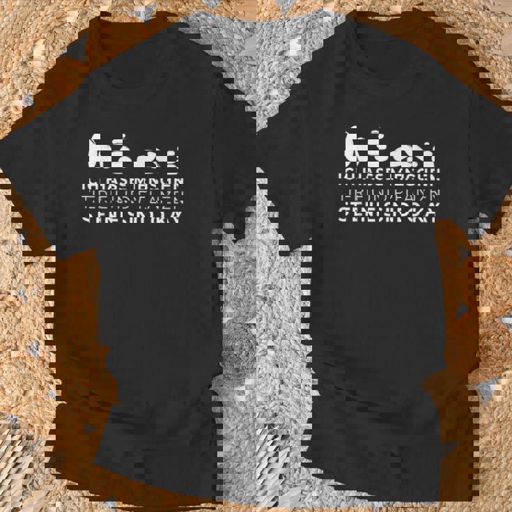 Ich Hasse Menschen Animals Und Pflanzen Steine Sind Okay I T-Shirt Geschenke für alte Männer