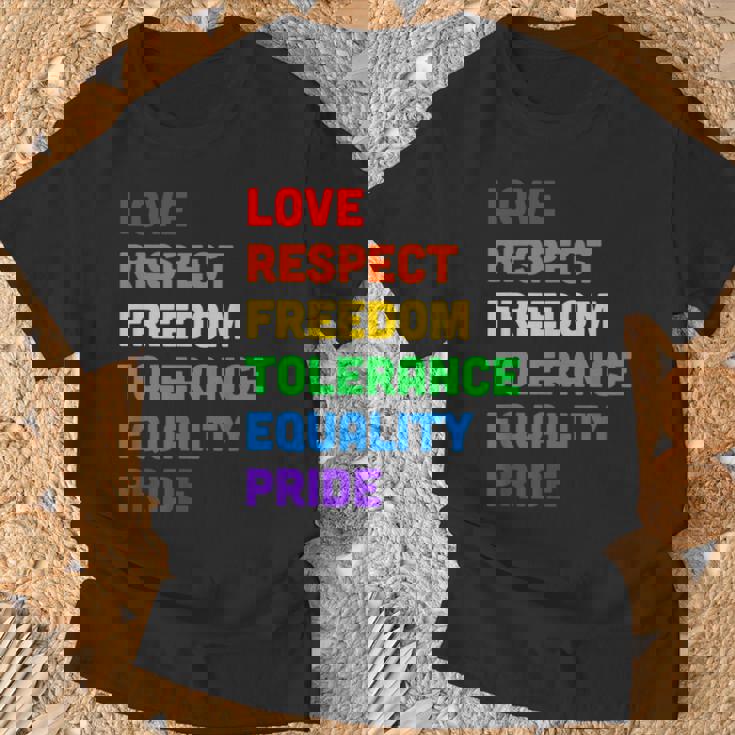 Igualdad Orgullo Gay Orgullo Lgbtq Igualdad Camiseta unisex Regalos para ancianos