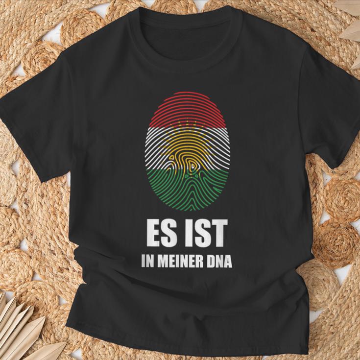 Kurdistan Kurdish Flag Freedom Kurdish T-Shirt Geschenke für alte Männer