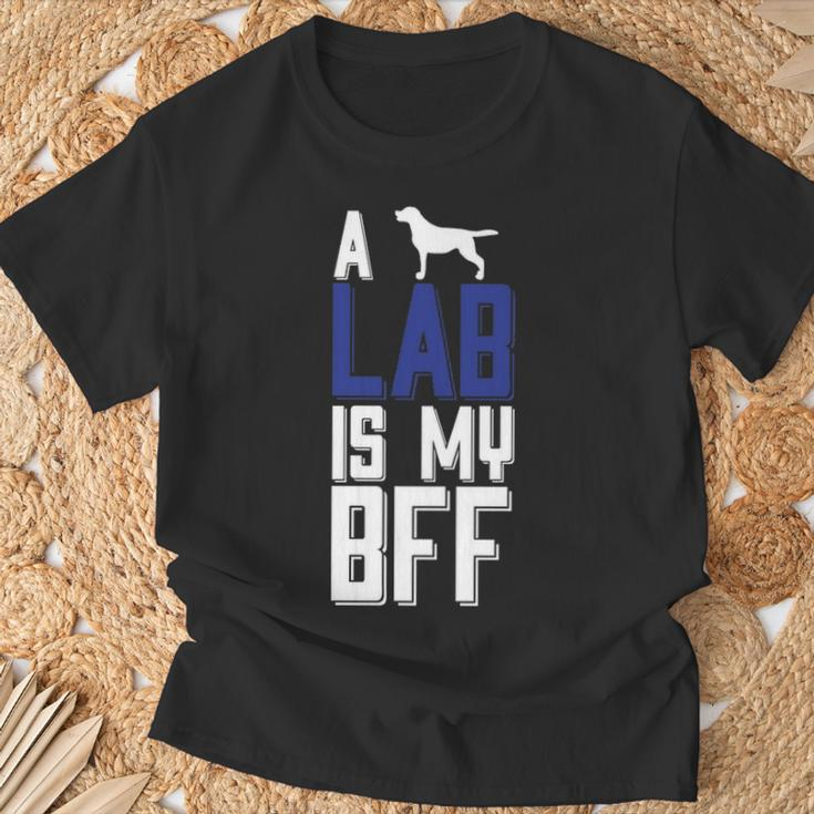 A Lab Is My Bff T-Shirt Gifts for Old Men