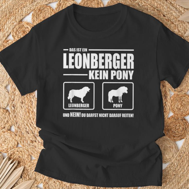 Leonberger Kein Pony Dog Dog Saying Dog T-Shirt Geschenke für alte Männer