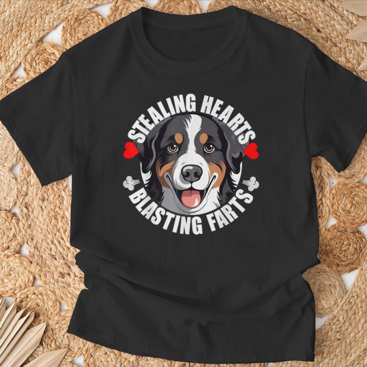 Lustiger Appenzeller Sennenhund Herzen Stehlen Sprengfurze T-Shirt Geschenke für alte Männer