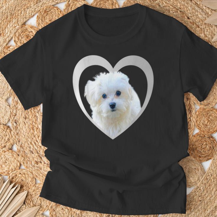 Maltese Maltese Dog Maltese T-Shirt Geschenke für alte Männer