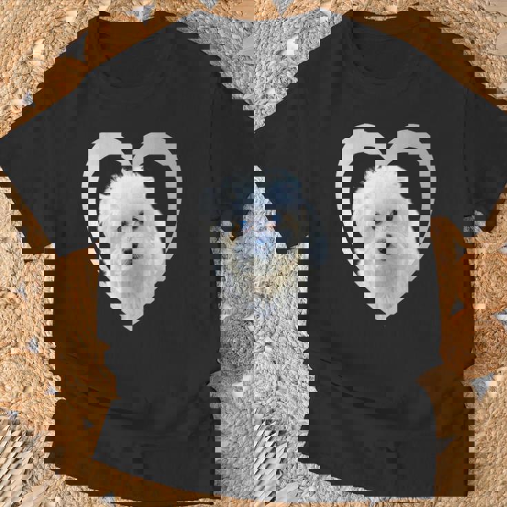 Maltese Maltese Dog Maltese T-Shirt Geschenke für alte Männer